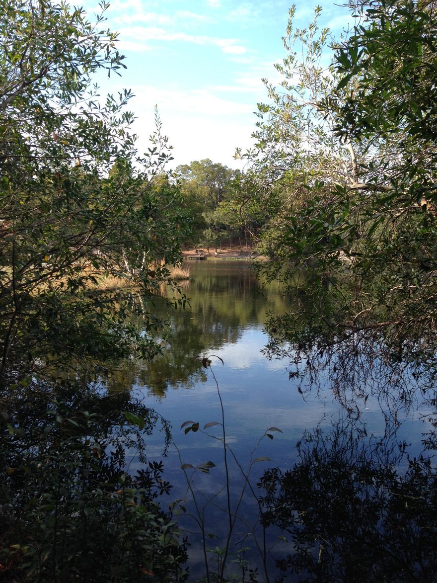 ***VERY MOTIVATED***Tranquil Lot in a peaceful private neighborhood. Many Large Oak trees with beautiful views of the Private Lake Sharon. Fishing, Canoeing and Relaxation! Very close to Destin Beaches, Niceville and Eglin, Hurlburt Field and Duke Field military bases. Build your Dream Home close to the beaches without the traffic and spring break traffic and in a very private area.