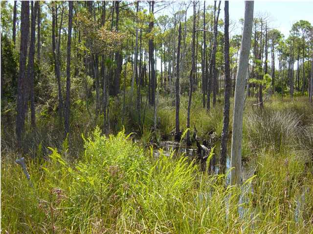 KELLY PLANTATION S/D - Land