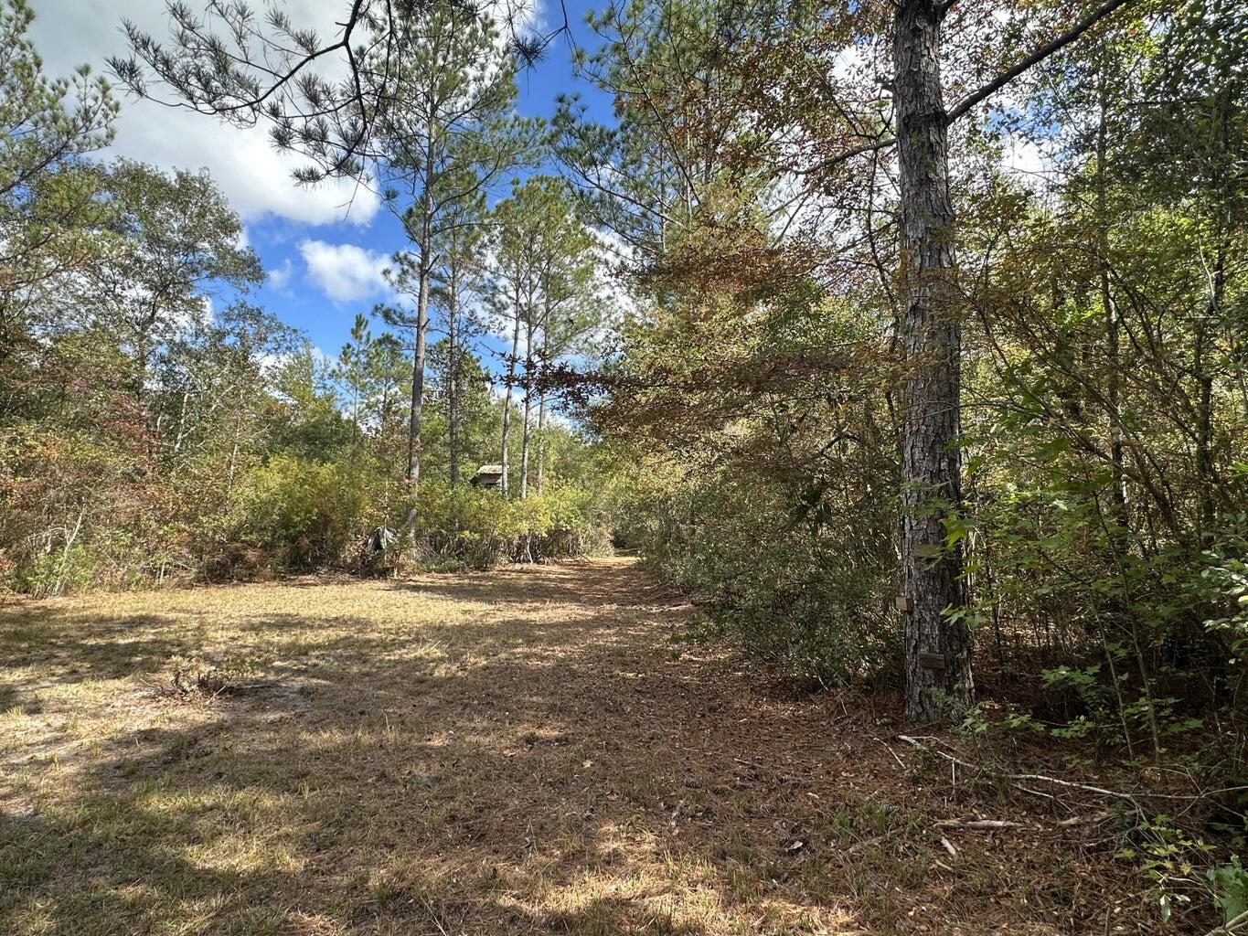 20 AC Lacey Lane