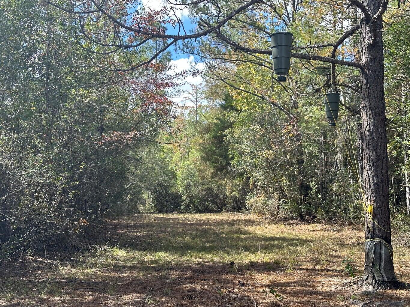 20 AC Lacey Lane