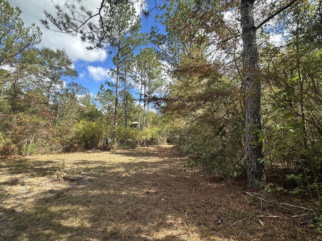 20 acres of wooded land accessed by a deeded easement from Lacey Lane. The parcel shares a boundary with Water Management land and is positioned in the general vicinity of the Shoal River. Regional infrastructure projects, including the PJ Adams Parkway extension, are underway in the surrounding area. There are no permitted structures or utility connections on the property. Buyer to verify all information related to access, zoning, land use, and feasibility for any intended purpose. Zoning is INST
