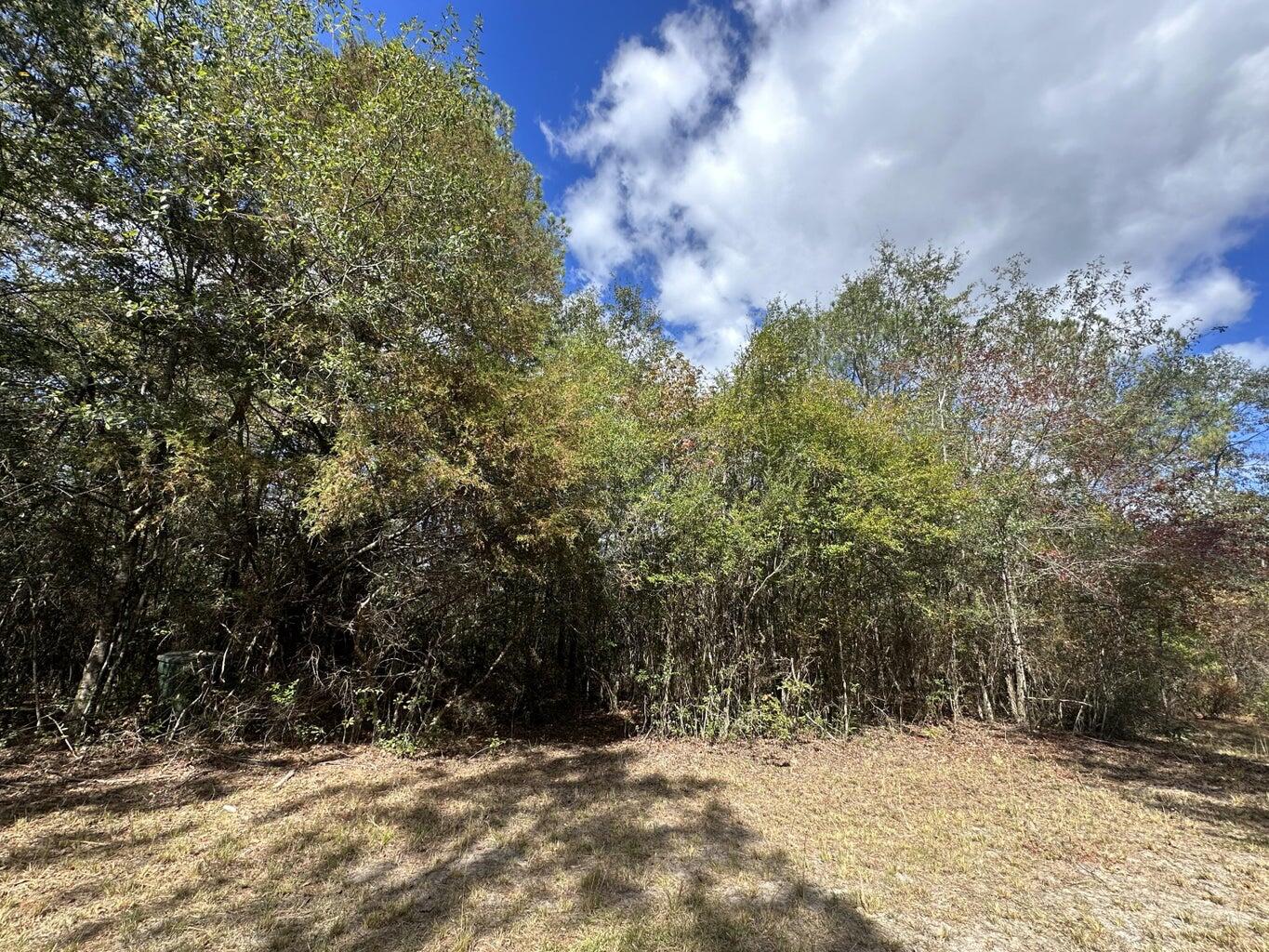 20 AC Lacey Lane
