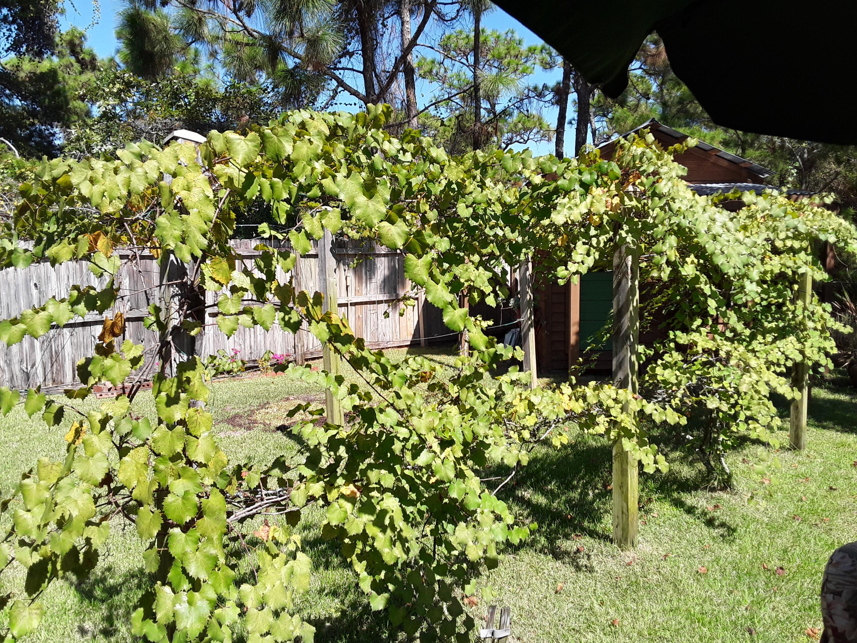 SANTA ROSA SHORES EAST - Residential