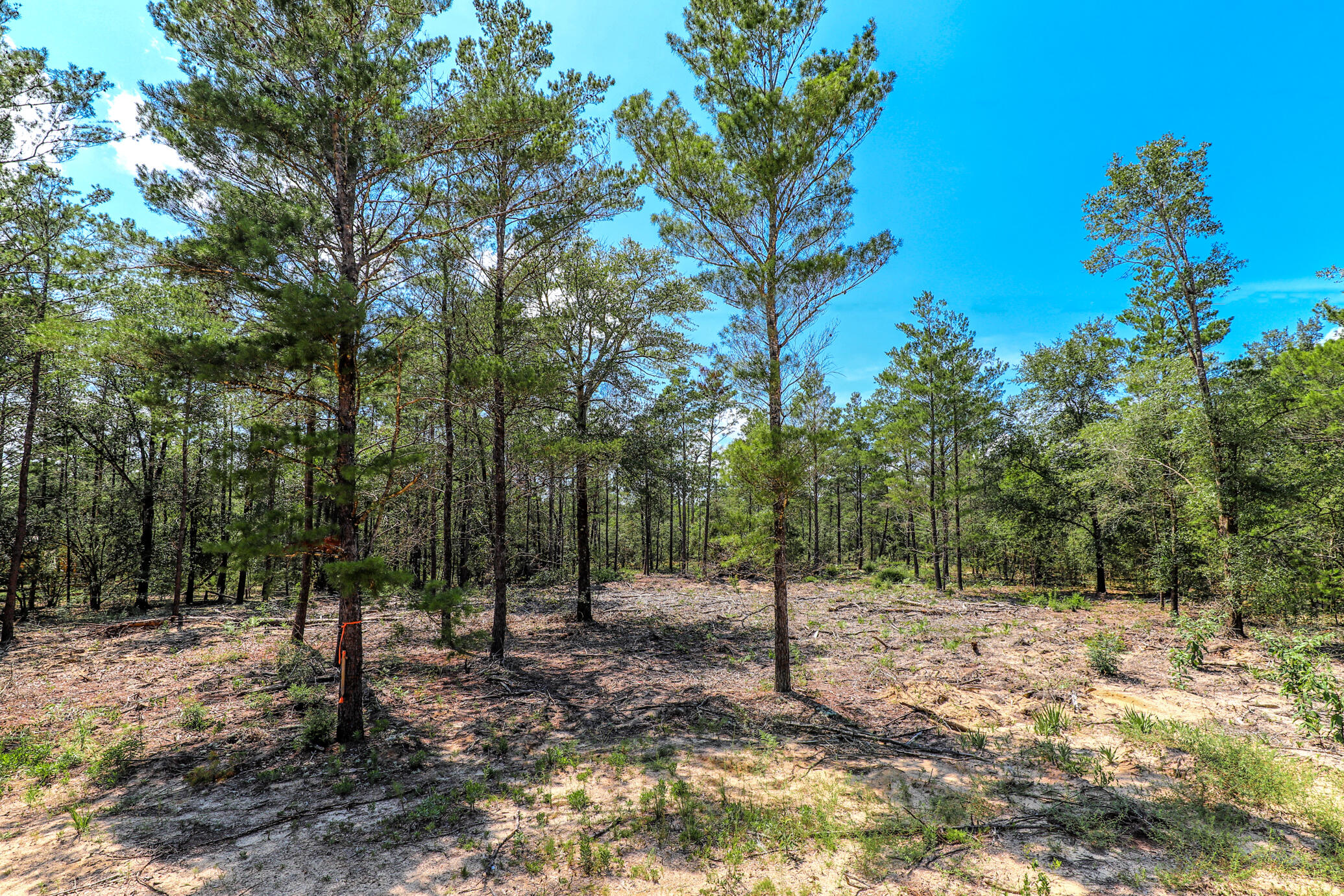 OAKWOOD HILLS UNIT IV - Land