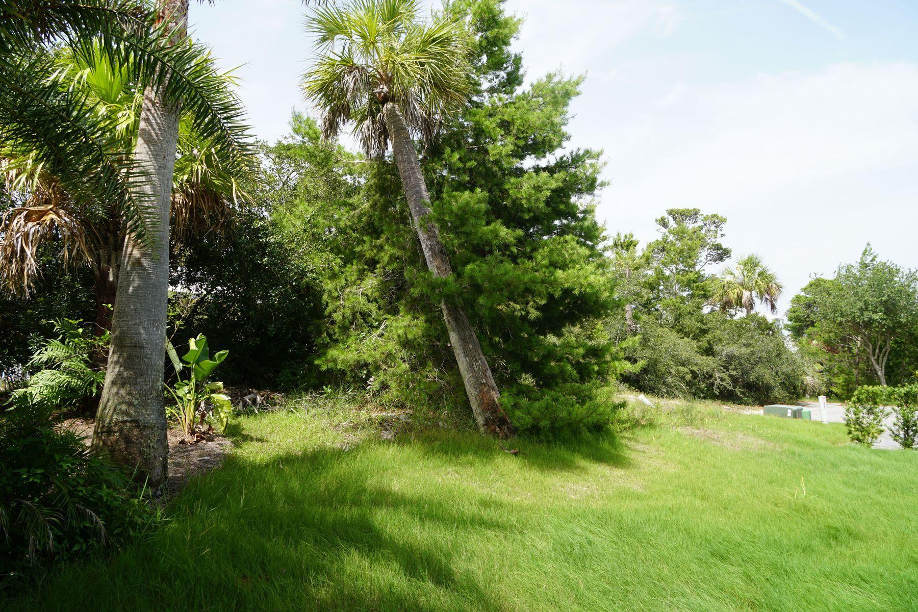 VILLAGE AT BLUE MOUNTAIN BEACH - Land