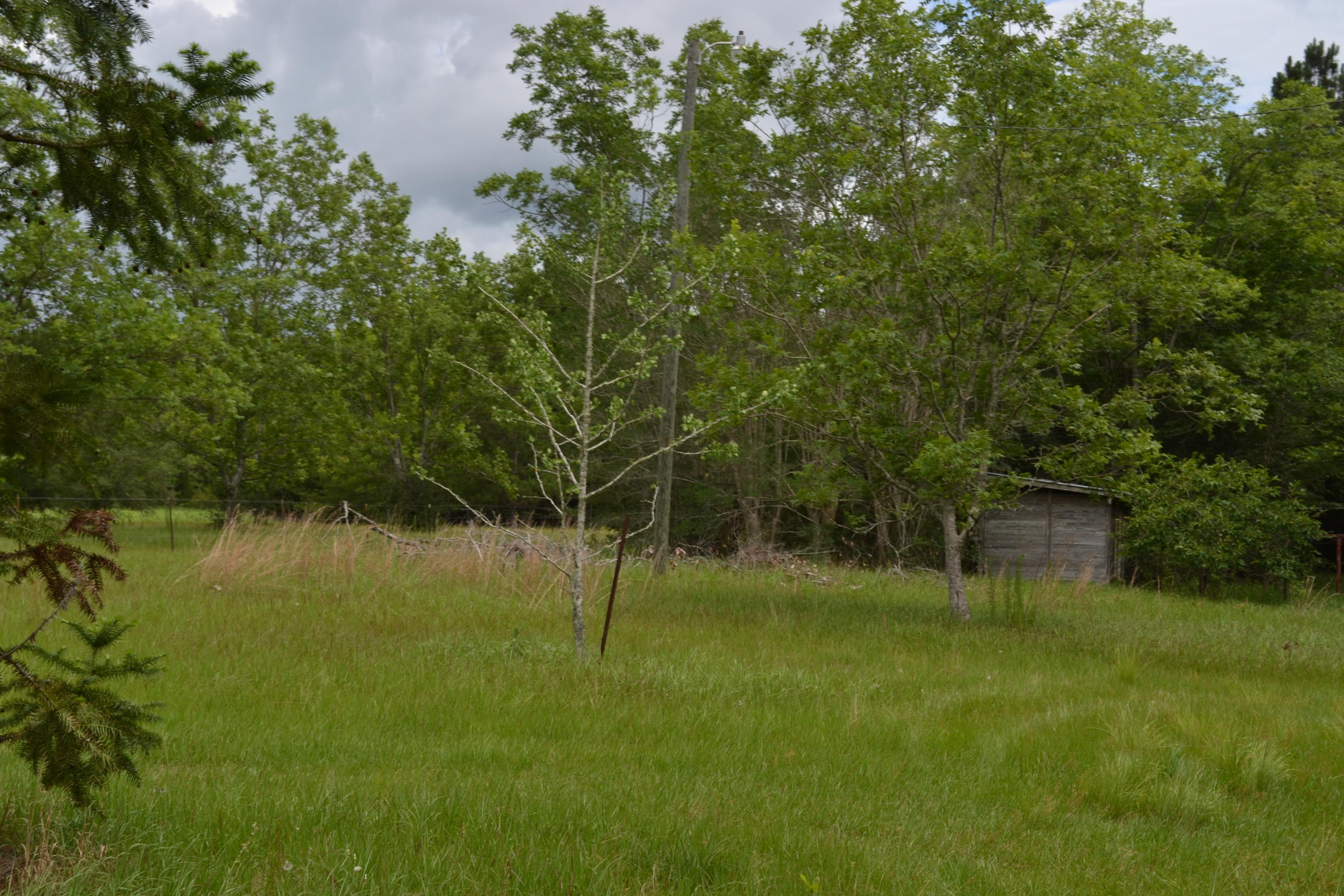 THE NORTHERN 820.92 FT OF THATPARCEL DESC AS FOLLOWS: COM AT NE COR OF SEC, RUN N 87 DEG41'12'' W 12 - Residential