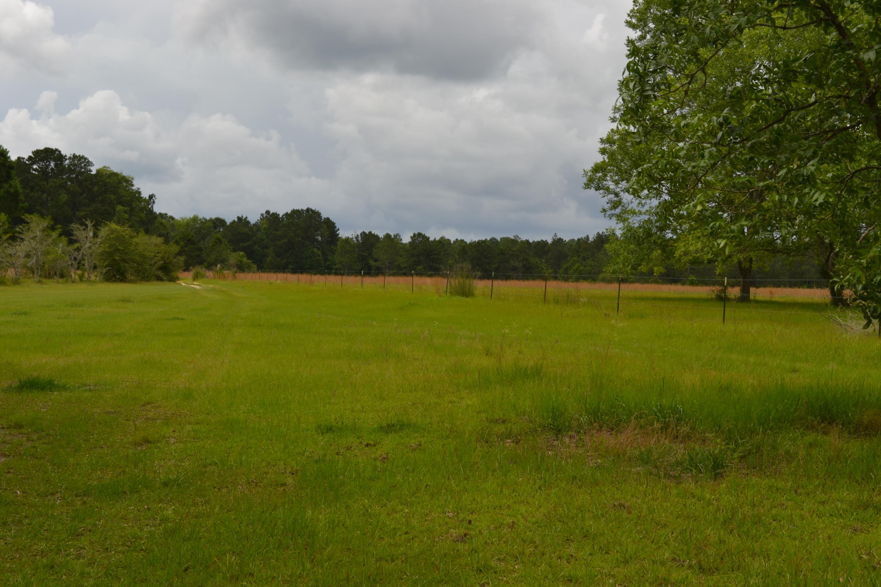 THE NORTHERN 820.92 FT OF THATPARCEL DESC AS FOLLOWS: COM AT NE COR OF SEC, RUN N 87 DEG41'12'' W 12 - Residential