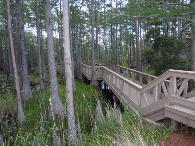 CYPRESS DUNES - Land