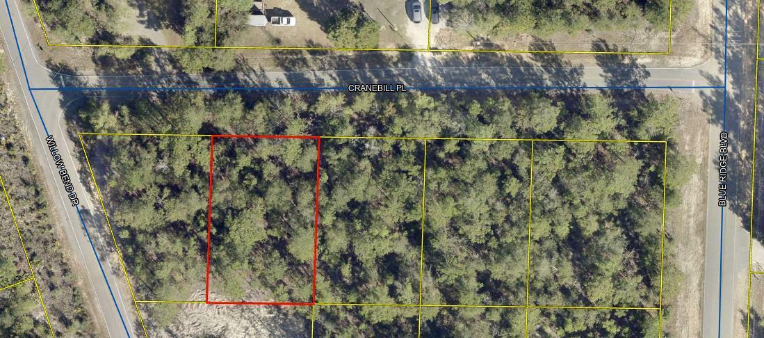 Wooded 1/4-acre lot conveniently located between DeFuniak Springs, Mossy Head and Crestview. You could build your dream home or place a manufactured home on it.