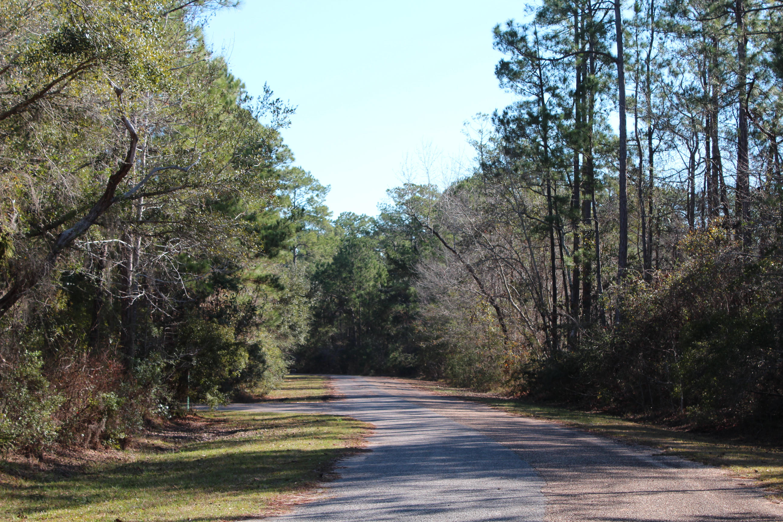 CROSS CREEK SHORES - Land