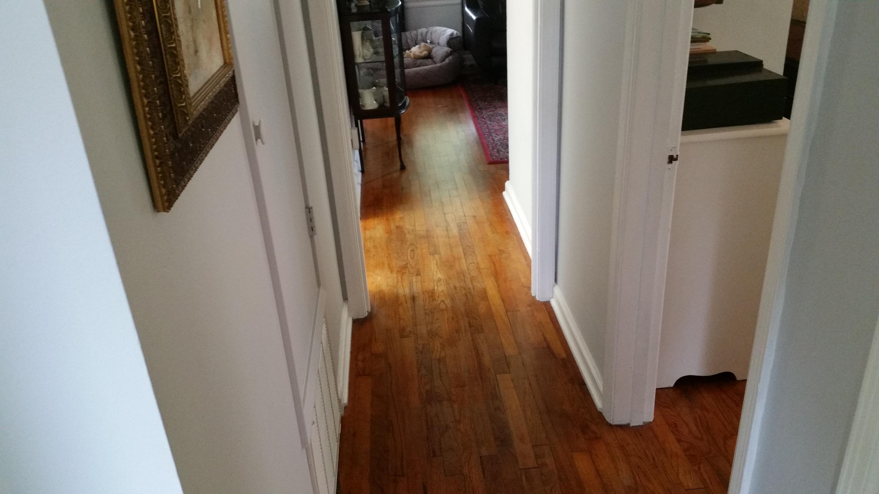 GARNIERS BEACH - Residential