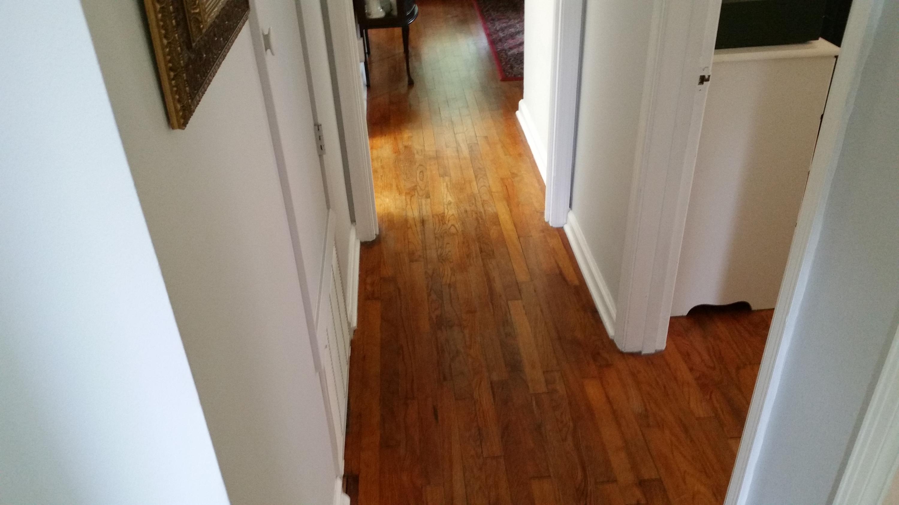 GARNIERS BEACH - Residential