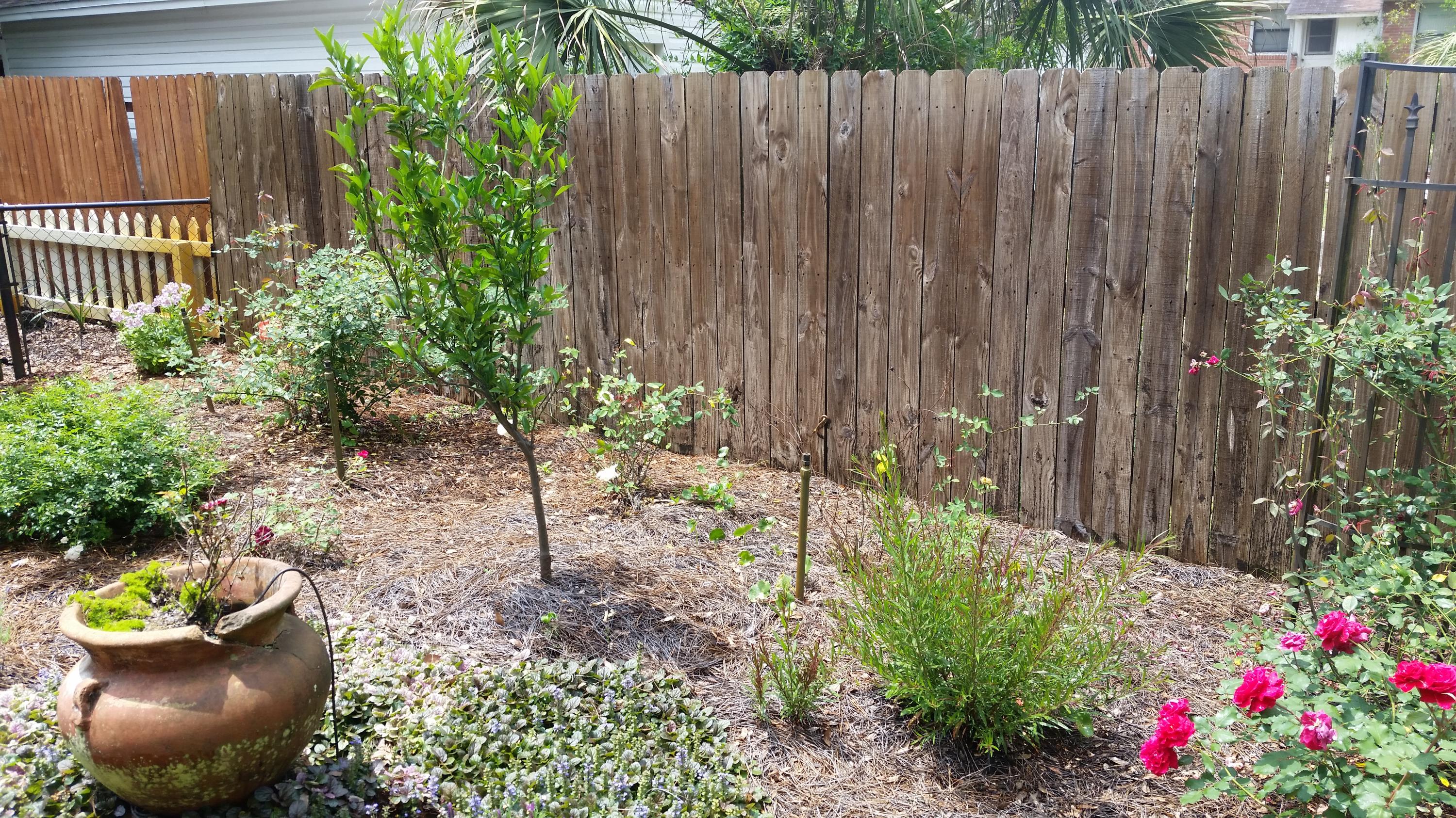 GARNIERS BEACH - Residential