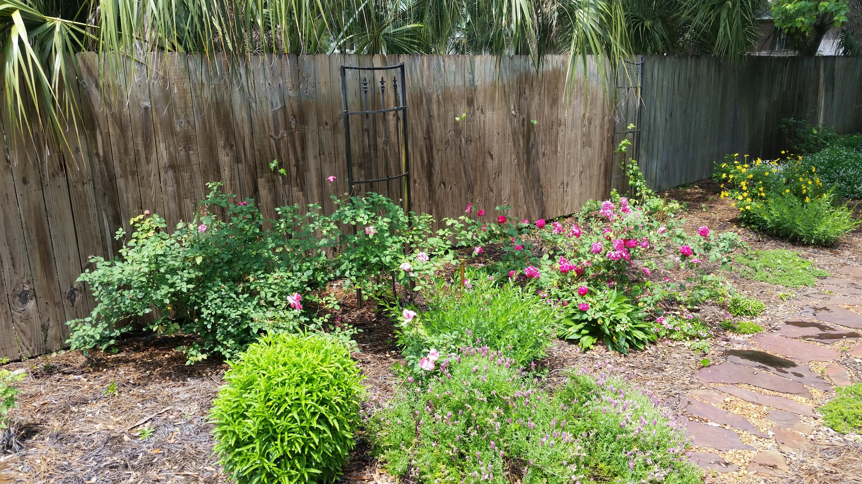 GARNIERS BEACH - Residential