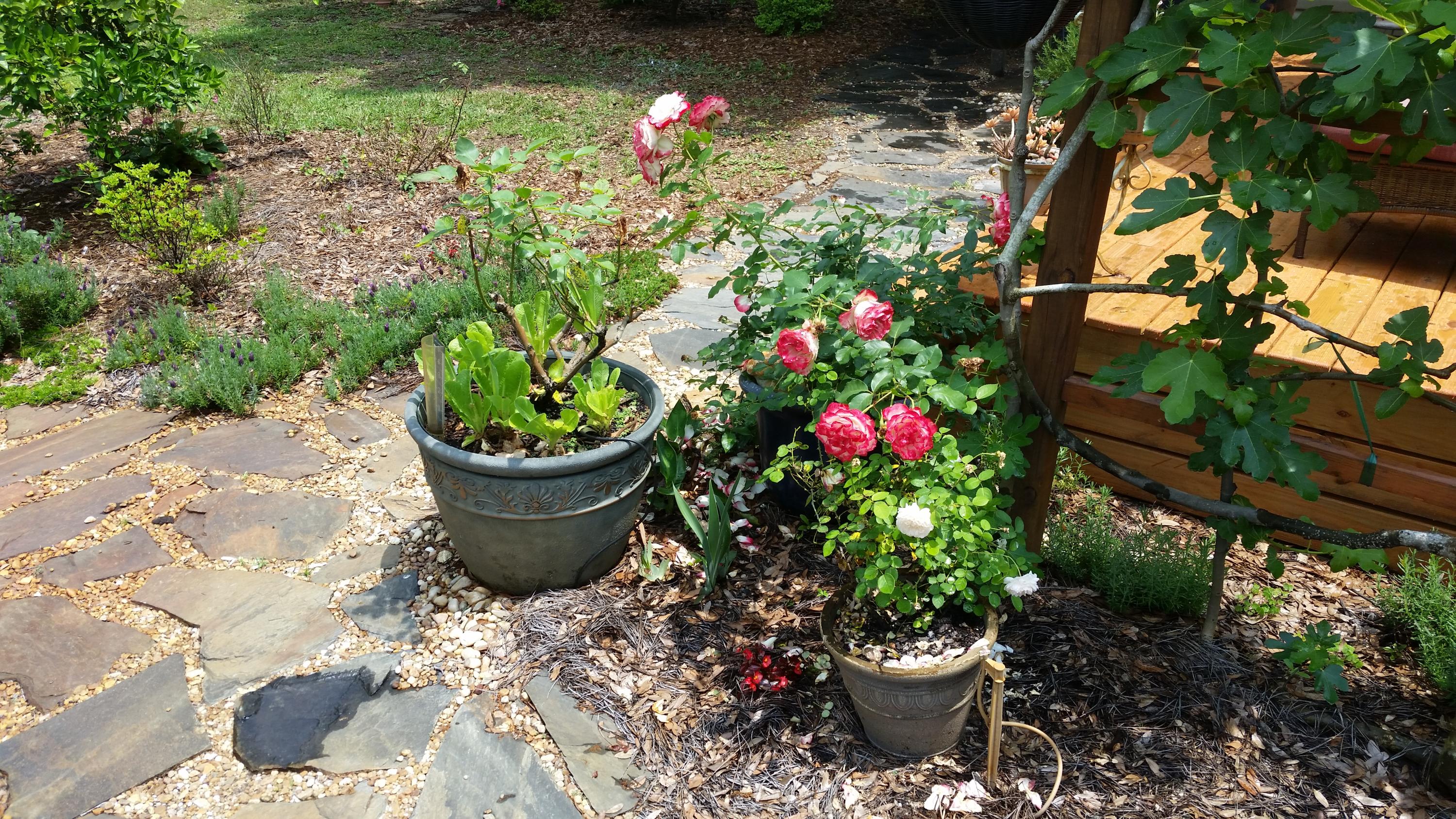 GARNIERS BEACH - Residential