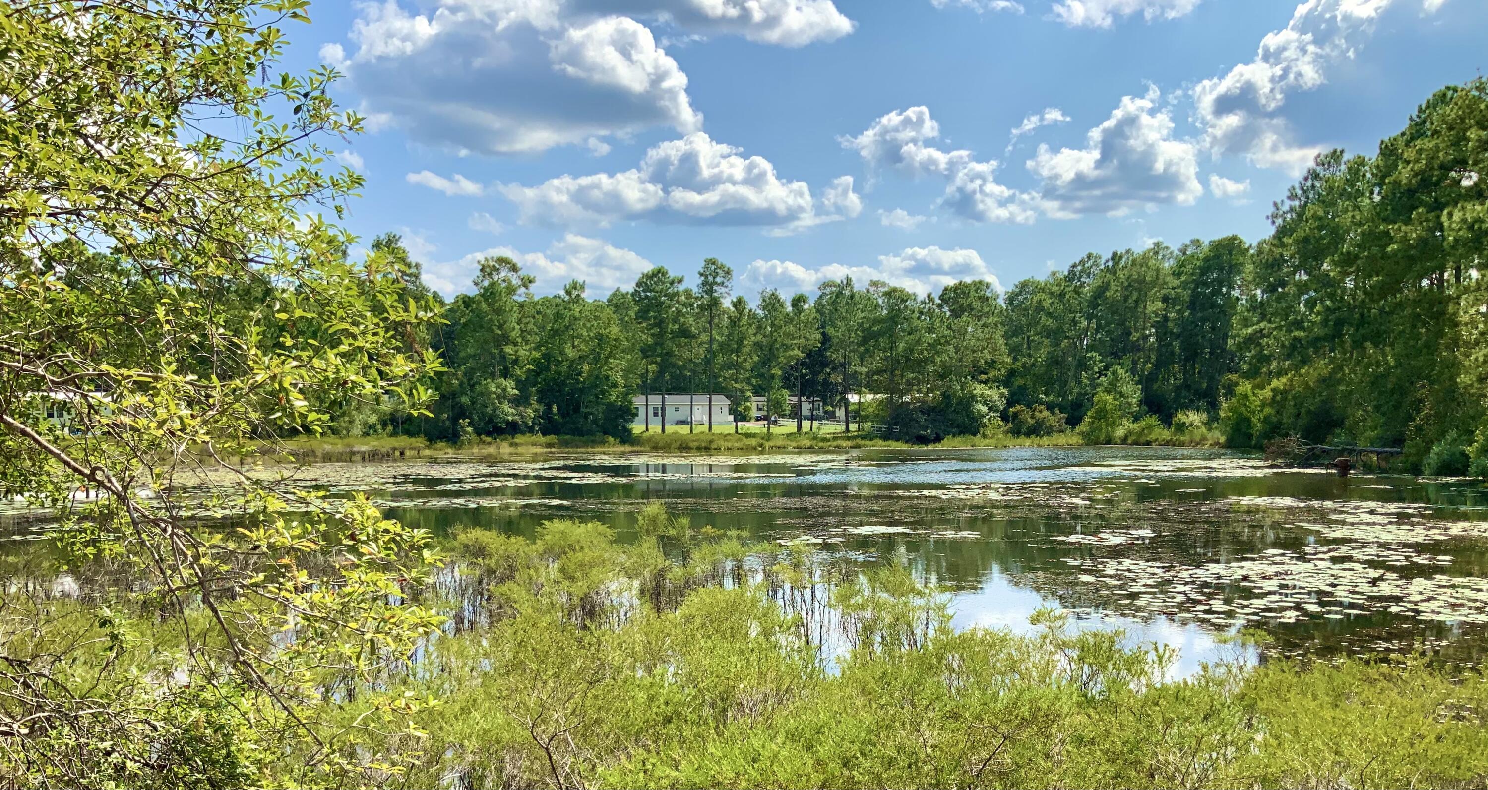 RUCKEL DRIVE - Residential