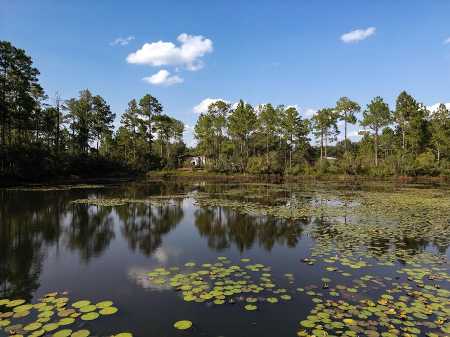 WATERFRONT HOME IN THE COUNTRY.. and this one sits ON AN ACRE! 

Who likes to fish? Grab your fishing pole and book a tour of this 3 BR/2 Bath CUSTOM mobile home.. with GOURMET KITCHEN!

The home is in the Lake Rosemary area;  which offers a series of fishing lakes for owners to enjoy. Your backyard boasts 105 feet of waterfront access to one of those fishing lakes!

The outdoor enthusiast will have plenty of room to play. Not only do you have an acre of mostly cleared land, you also have a BRAND NEW 25 x 35 POLE BARN (with a 12 ft ceiling), to house all your toys/camper. 

Like to entertain? Repurpose the space as an outdoor pavilion perfect for family grilling/outdoor entertainment. 

Step inside the home to open concept living.. with a custom kitchen the family chef with love. The designer-inspired kitchen features rich chocolate cabinetry.. premium countertops.. ss appliance suite.. and an island with bar seating.

The master suite is located off the kitchen and is very spacious for the price point! Owners will enjoy a double vanity.. walk-in shower.. separate deep soaker tub... and HUGE WALK-IN CLOSET!

The guest bedrooms share a a standard bathroom with tub/shower combination. 

County taxes.. NO HOA FEES.. and this land is high and dry.

Properties like this do not last long! Make an offer today.