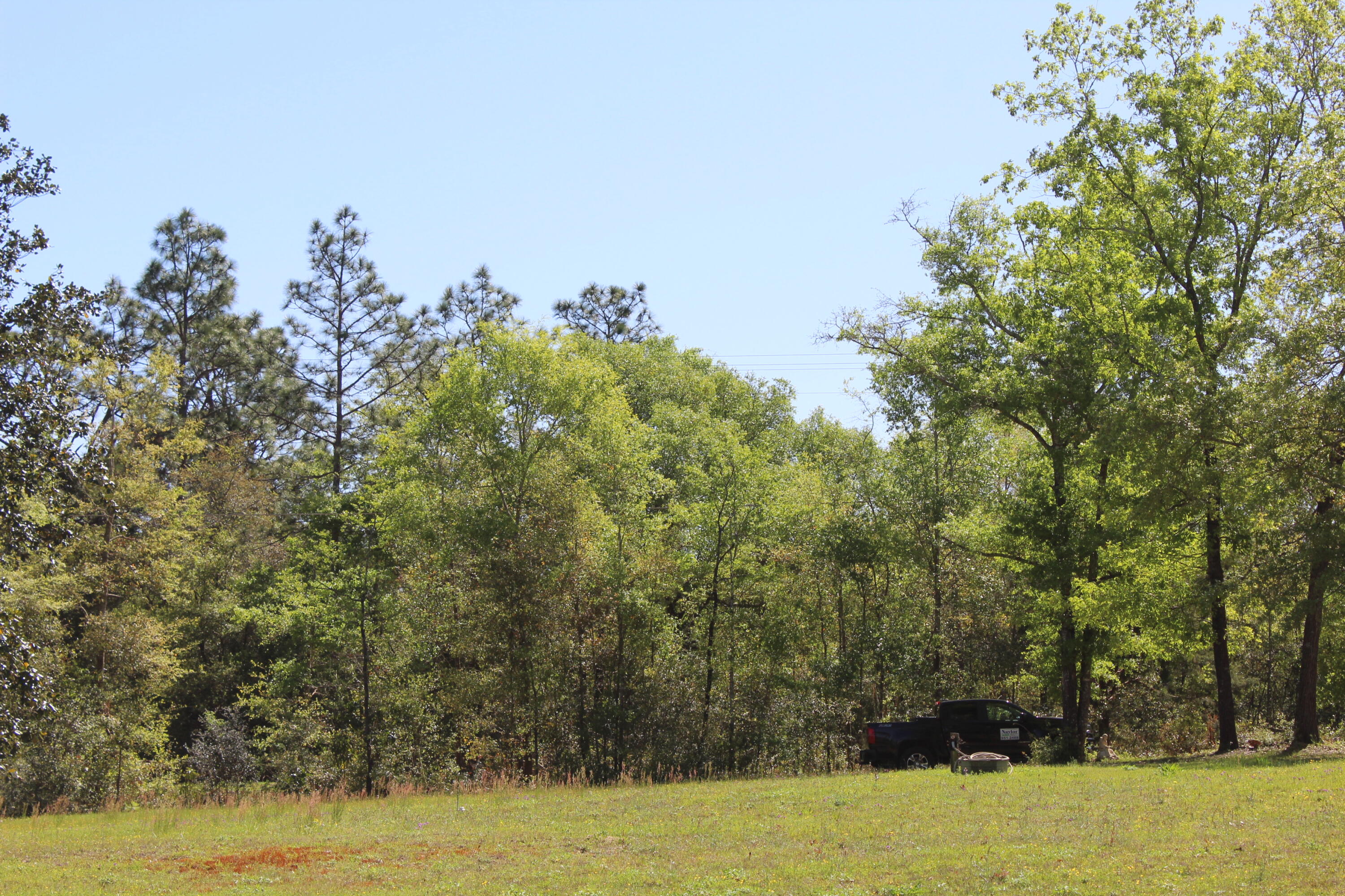 JUNIPER LAKE PINES Unit I - Land