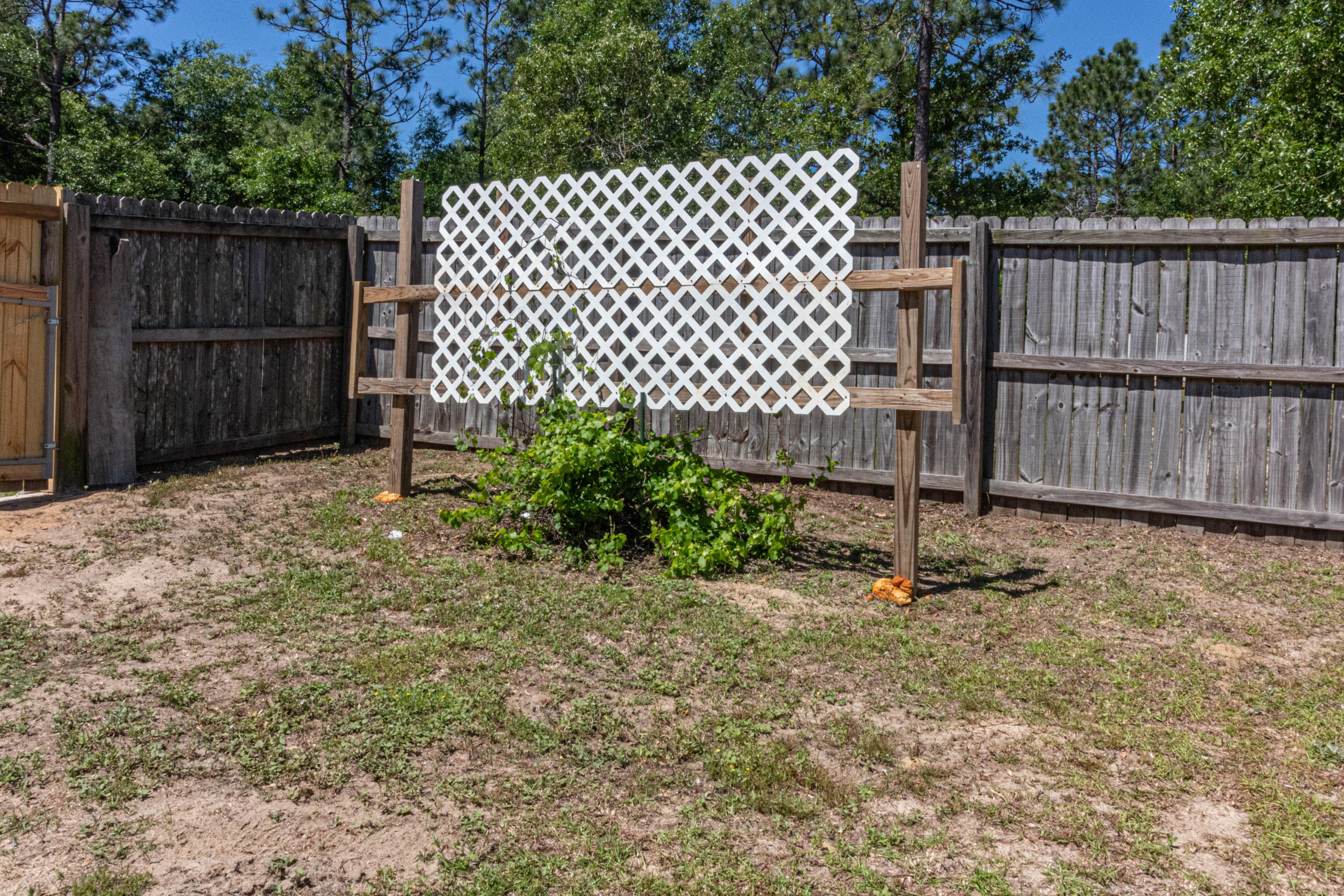 SILVER SPRINGS EST - Residential