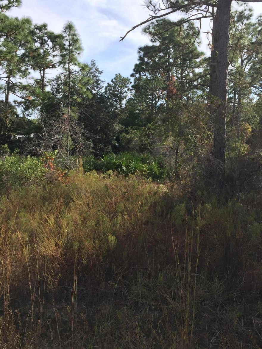 Two of the remaining wooded lots left in Elizabeth Farms. These interior vacant lots are perfectly located close enough to W Hewitt to be convenient but still away from the traffic and bustle of the main road. They are close to Wal-Mart, Donut Hole, Sacred Heart Hospital, Grand Boulevard, Silver Sands Outlet Mall, Sandestin, and other shopping and recreational opportunities. There is no established timeframe for having to build so you can hold them as long as you like and there are no HOA fees. This is 2 of 3 lots. The other lot (sold separately) is on Santana and backs up to Lot 5. All 3 lots are located in the X flood zone so no flood insurance is required. Purchase all 3 lots for $120,000. Seller is motivated. Make an offer today. Listing agent is related to Seller.