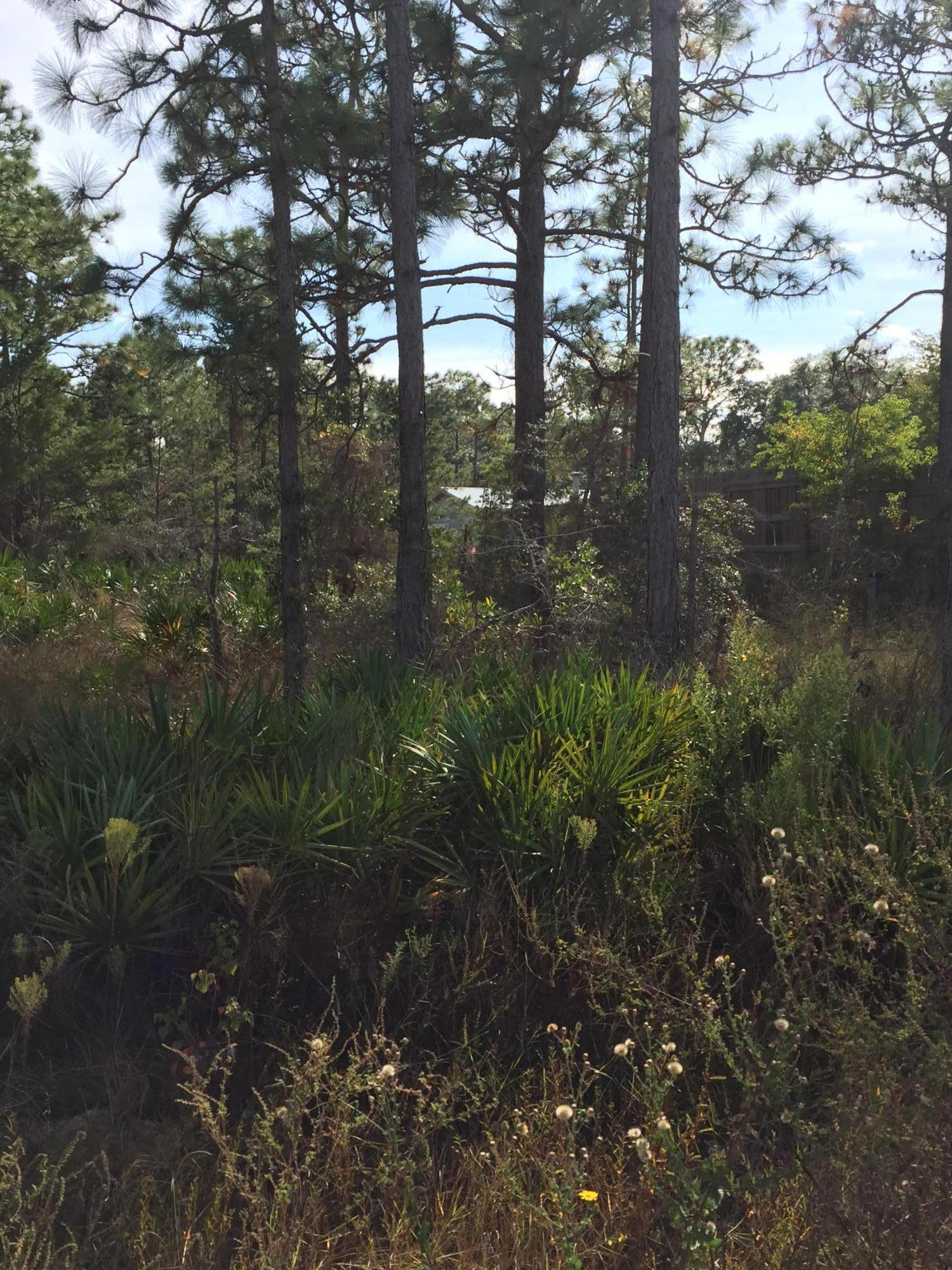 ELIZABETH FARMS 2ND ADDN UNREC - Land