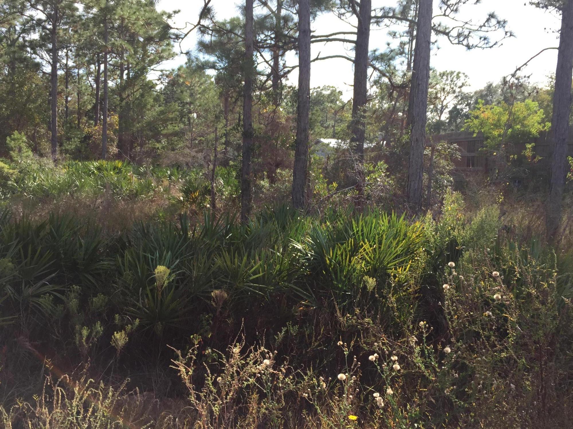 ELIZABETH FARMS 2ND ADDN UNREC - Land