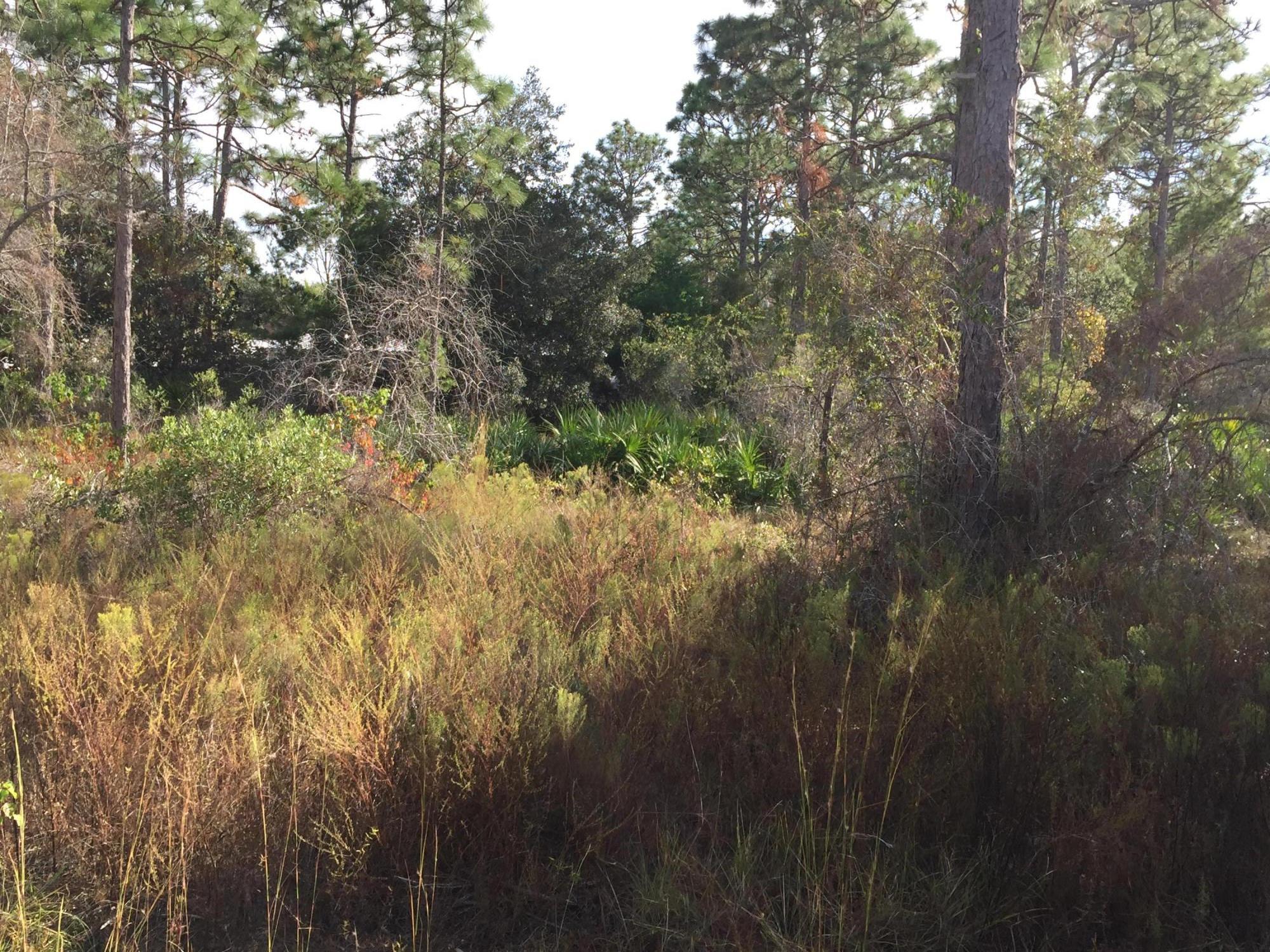 ELIZABETH FARMS 2ND ADDN UNREC - Land