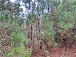 NO RECORDED SUBDIVISION - Land