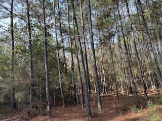 NO RECORDED SUBDIVISION - Land