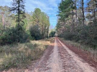 NO RECORDED SUBDIVISION - Land