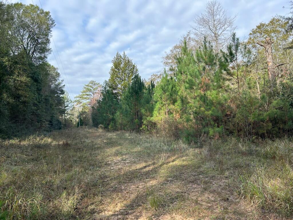 Wooded parcel near Ponce de leon. Owner states a home was previously on the property but it burned down. According to seller there is a well and septic on property. Location of septic is unknown and well needs pump. Buyer to do all due diligence in researching the property to their satisfaction. Owner is selling as is and has no knowledge of condition of well or septic. No survey available. Setup your mobile home or pick a spot to build your home. Enough room for horses and pets.