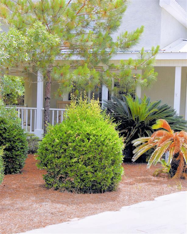 WHITES GULFVIEW ESTATES - Residential