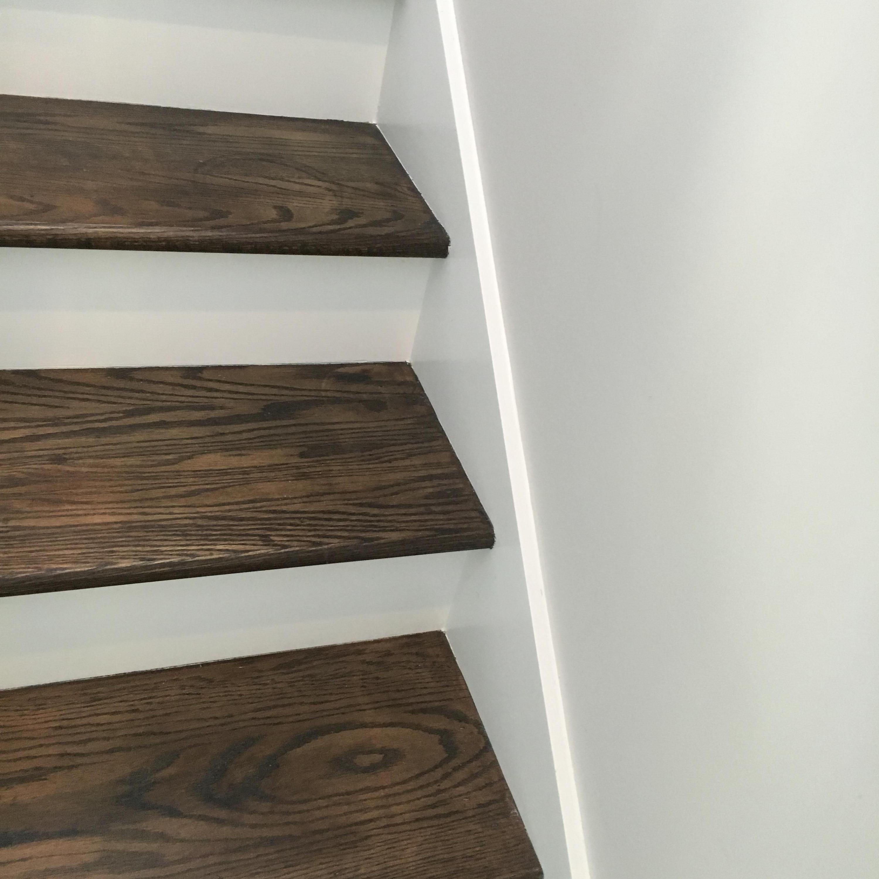 AUDUBON POINT - Residential