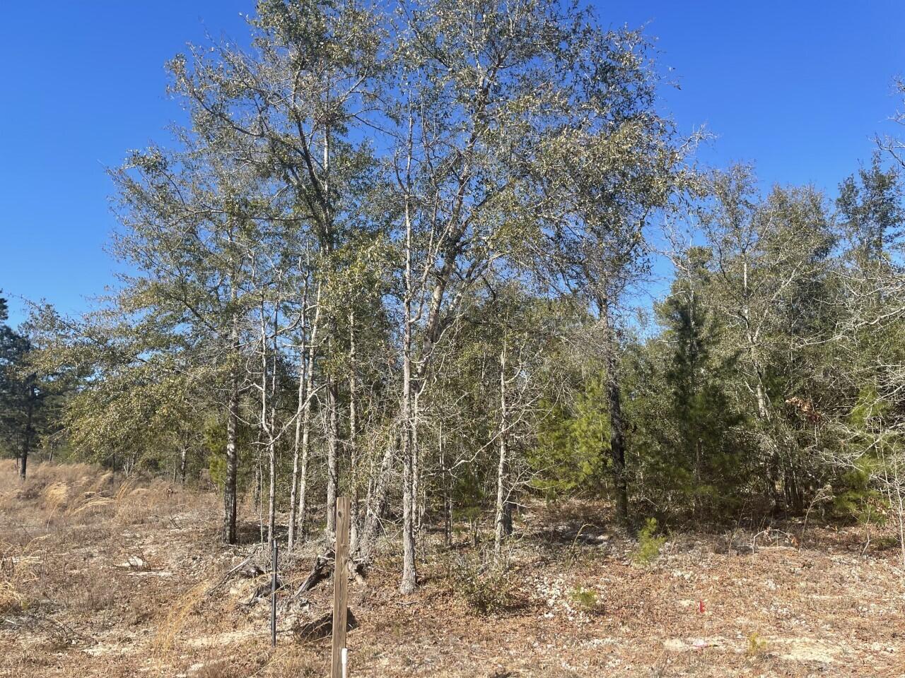 Have You Been Looking For The Perfect Homesite To Build Your New Home In Defuniak Springs? You'll Love This Wooded Lot That's Just Off Hwy 331. Country Living At It's Best. Close To Town With The Advantage Of Large Spacious Country Feel. Call Today For More Info & See For Yourself All That This Homesite Has To Offer! As Always, Buyer to Verify All Items Deemed Important: Acreage, Lot Dimensions, Taxes, Etc.