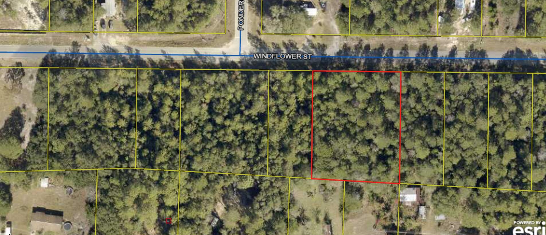 .73 Acre lot ready to build on. Paved road.
