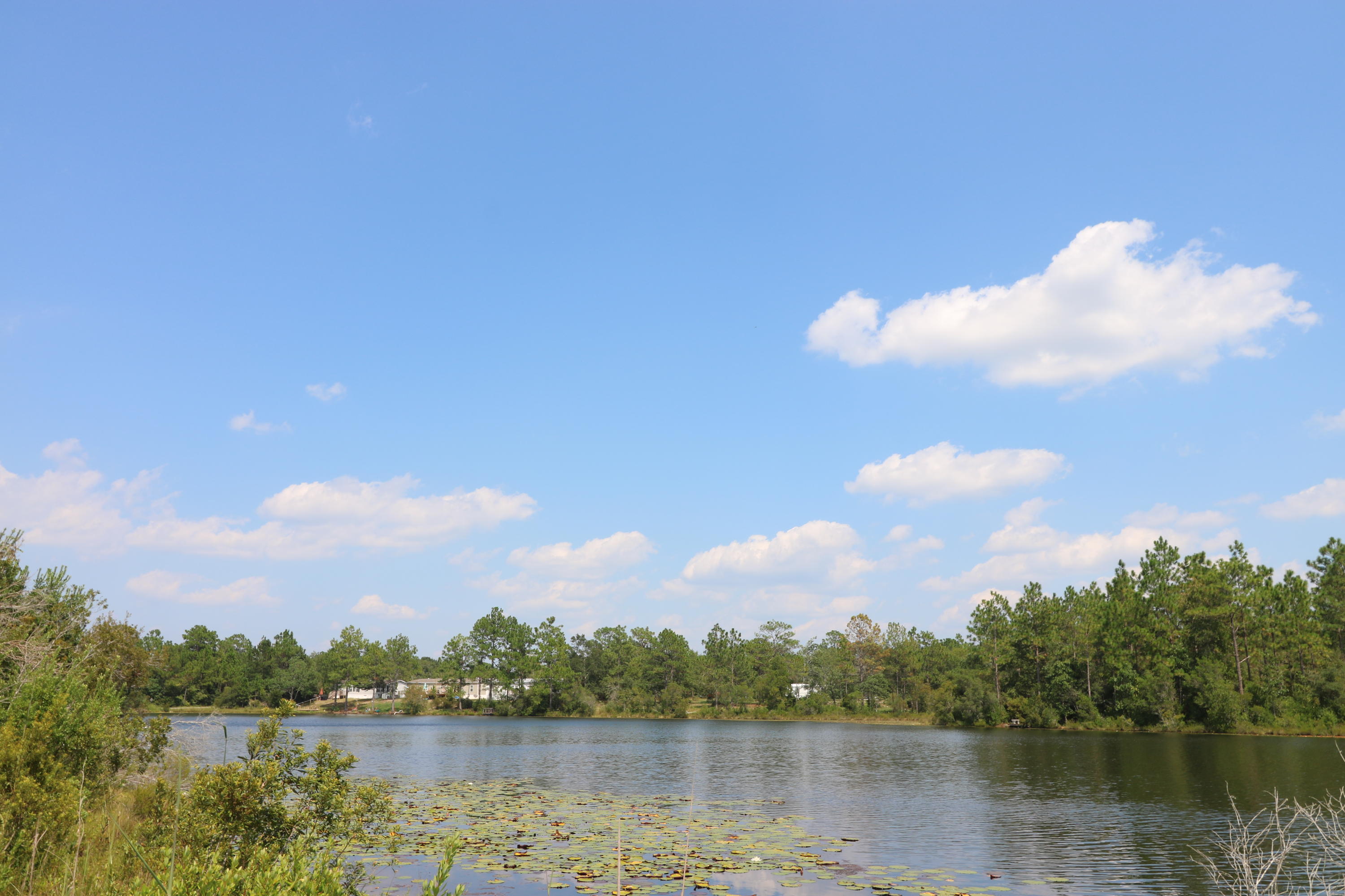 OAKWOOD LAKES ESTATES - Land