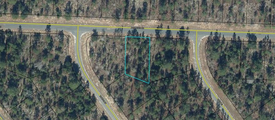 Looking to build a home in a community with a golf course, clubhouse, lakes throughout for recreational activities such as swimming, boating, and fishing, but also a short drive to the beach? This .251 acre lot in Sunny Hills is waiting for you! Located in the front by one of the main entrances off of 77, allows easy access to your home and Three streets over, you have access to one of the many white sandy beach lakes located in Sunny Hills For recreational use. This location provides a short drive, approximately 45 minutes to Panama City beaches, Northwest Florida Beaches International Airport, and Pier Park shopping when you want to visit a different slice of heaven. Approx. 20 miles from local shopping, medical, and other local amenities in Chipley