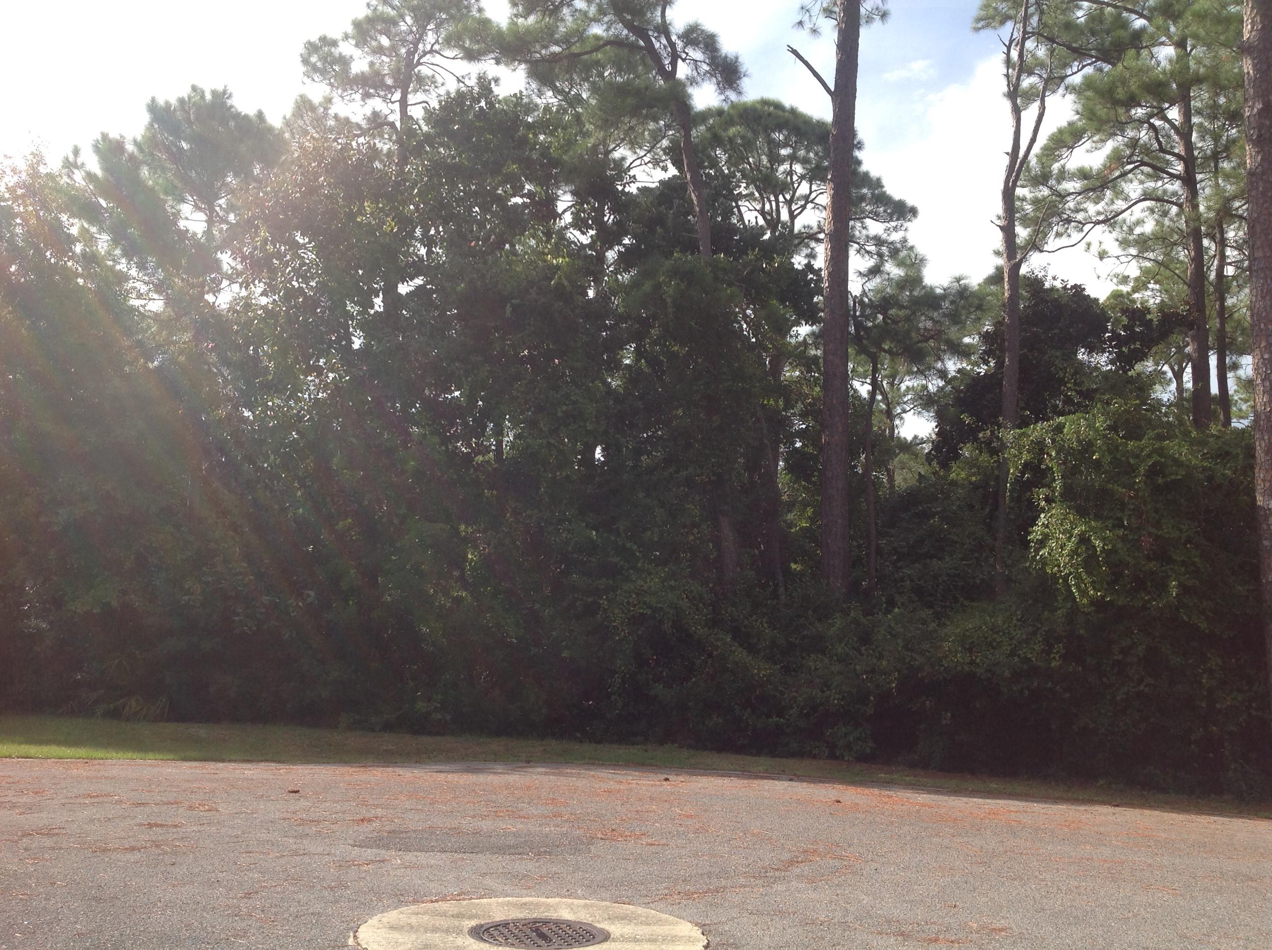 INDIAN SHORES PH 1 - Residential