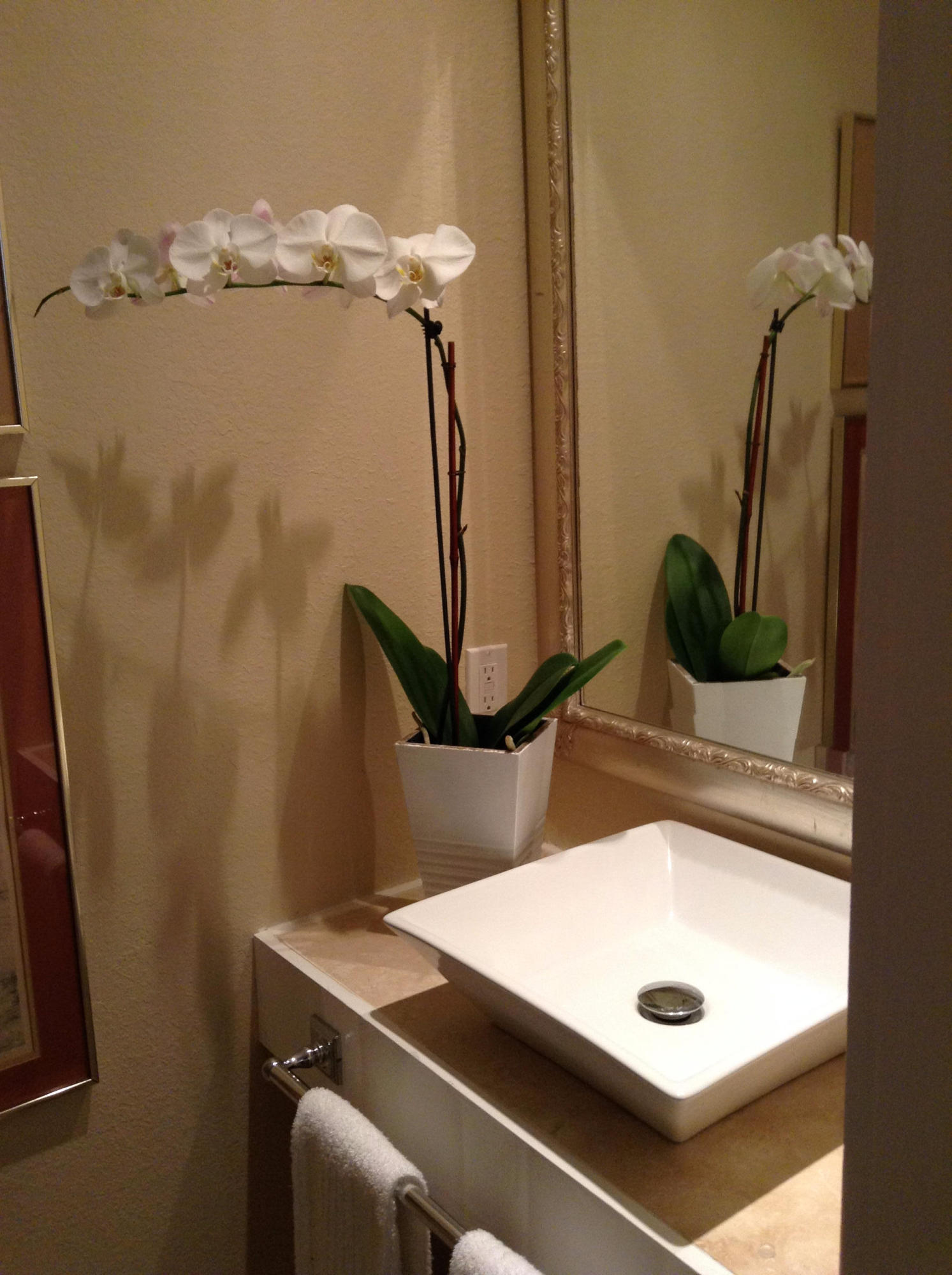 VENTANA DUNES - Residential