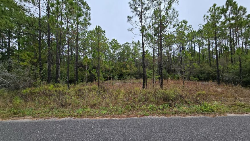 This part of Santa Rosa Beach continues to be one of the most sought after areas for residential living, and opportunities for available land are limited. This homesite sits on a paved county road within a small cul-de-sac street that features well maintained homes and no HOA. There is space to design a custom single family home that fits your plans. Public beach access is a short drive away along with bay access points and a wide selection of coastal dining, local cafes and boutique shops. The setting works well for a full time residence or a second home along the coast, offering flexibility without the usual limitations seen in many nearby communities. This area offers access to some of South Walton's most distinctive natural spaces along with a range of local experiences that give the region its coastal appeal. Topsail Hill Preserve is easily reached from this location and includes miles of trails, coastal dune lakes and stretches of protected shoreline. Bay access points throughout the surrounding area provide options for boating, fishing and paddleboarding.

Dining options nearby vary from laid back waterfront spots to chef driven kitchens known for fresh Gulf seafood, creative menus and sunset views. The surrounding 30A corridor also features boutique shops, artisan caf??s and locally owned markets that help define the coastal lifestyle. Everyday essentials such as grocery stores and services are reached with a straightforward drive, keeping daily routines practical for future homeowners.

Vacant land in this region remains limited, and buyers often look for settings that offer a blend of natural beauty, strong area amenities and flexibility in planning their future build.