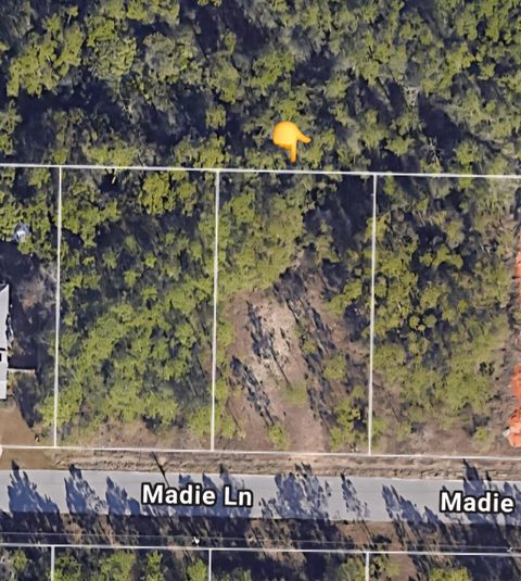 Lot 23 Madie Lane Santa Rosa Beach FL 32459