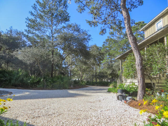 PINES OF BLUE MOUNTAIN - Residential