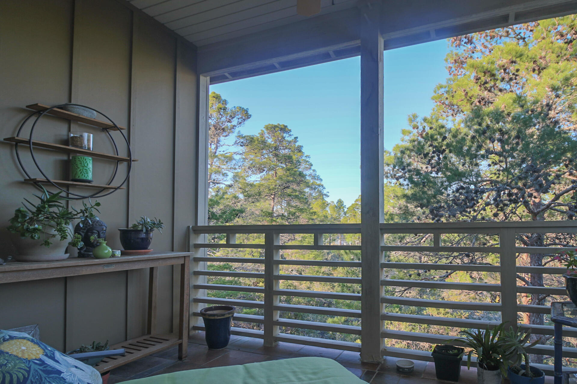 PINES OF BLUE MOUNTAIN - Residential