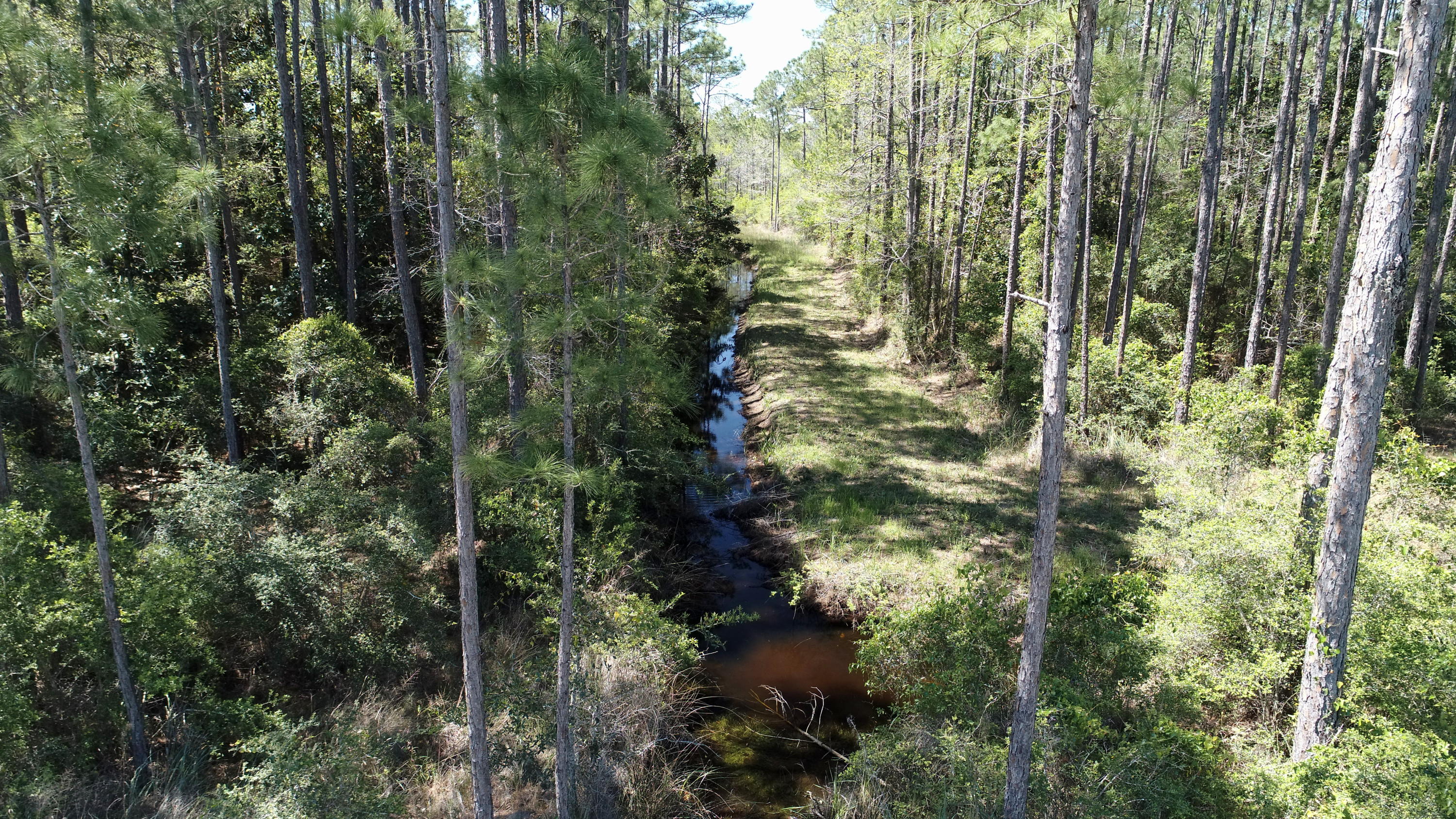 WHISPERING PINES - Land