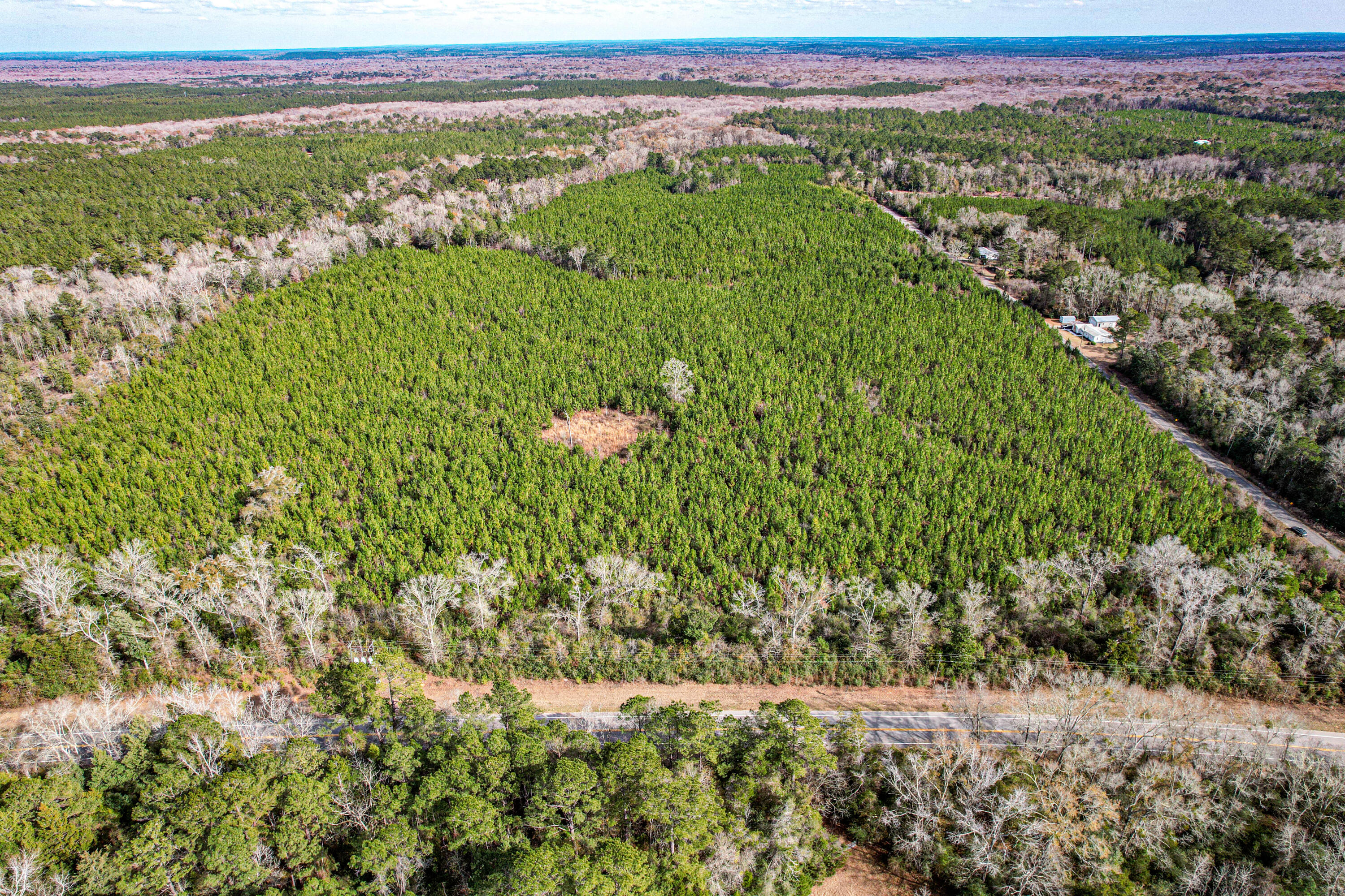 Prime opportunity to own 120 acres of woodlands with approximately 1300 feet of paved road frontage on Hwy. 81 and 2600 feet of paved road frontage on Sandy Creek Landing Rd. This property is zoned General Agriculture, offering endless possibilities for farming, a residential development, a hunting camp, or a private homestead where you can enjoy abundant wildlife and endless outdoor opportunities. Less than a 45 minute drive to some of the World's Most Beautiful Beaches on Highway 30A, the Waterways of the Choctawhatchee Bay, and the Panama City Beach Airport. You do not want to miss out on this large tract of land that is out in the country yet close to everything. Additionally, this property is only 5.3 miles from Interstate 10. Perfectly situated for those who love to travel.