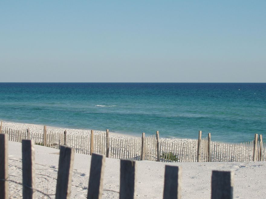 Limited service listing