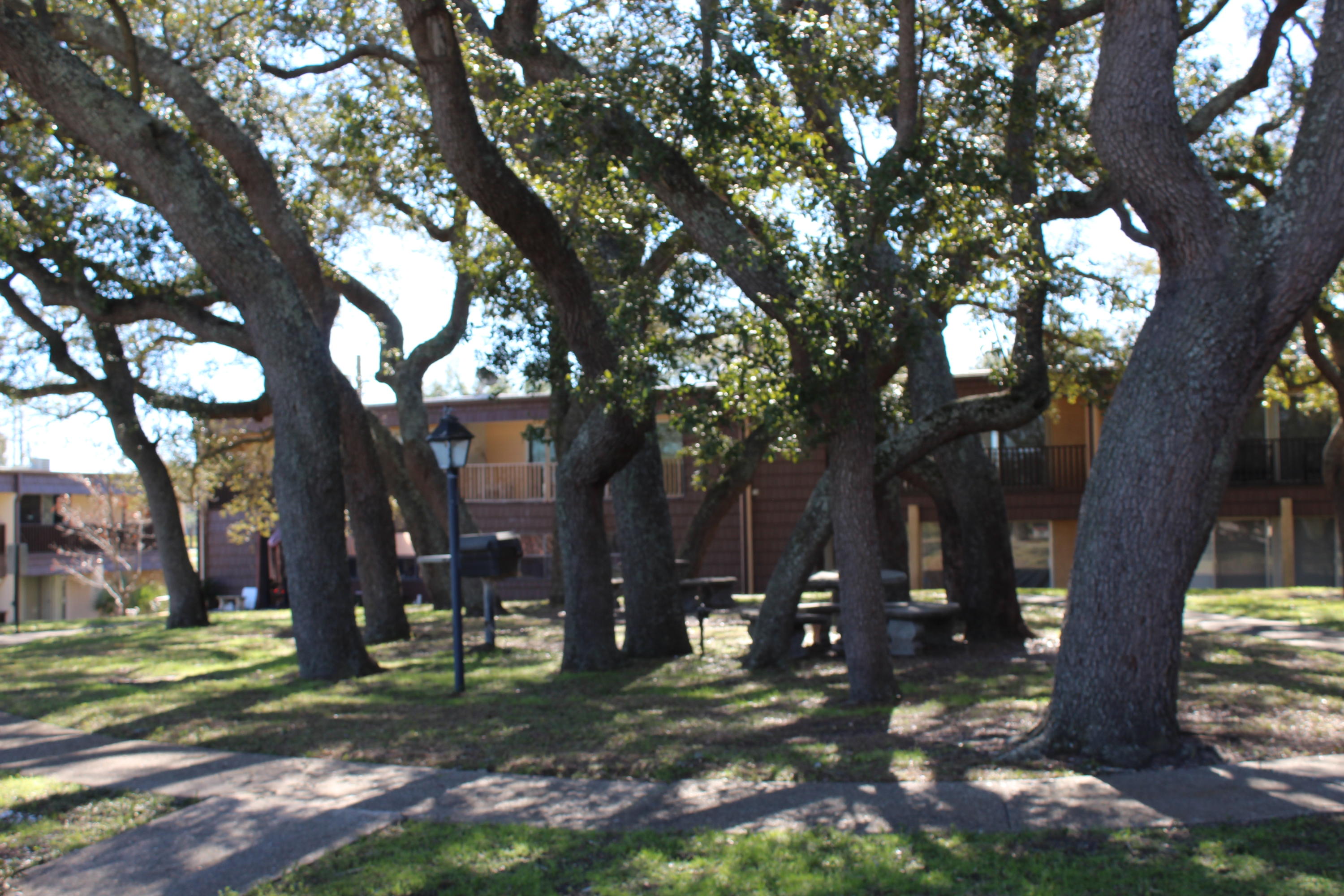 SPANISH VILLAS CONDO - Residential