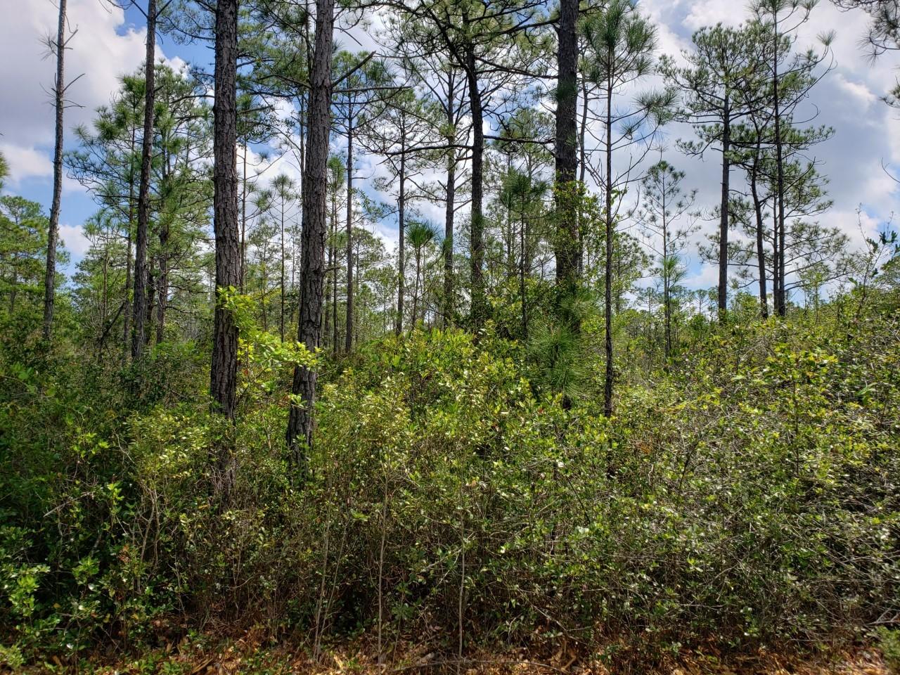 SECLUSION BAY - Land