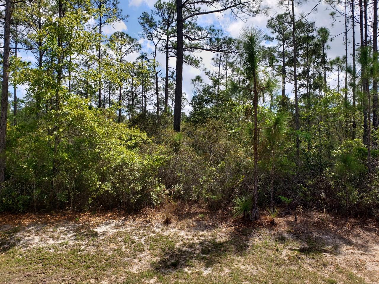 SECLUSION BAY - Land