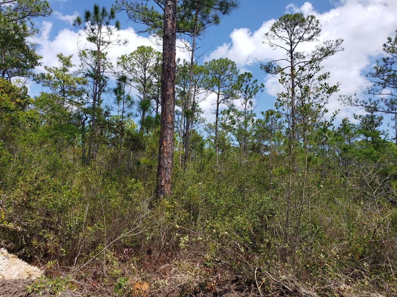 SECLUSION BAY - Land